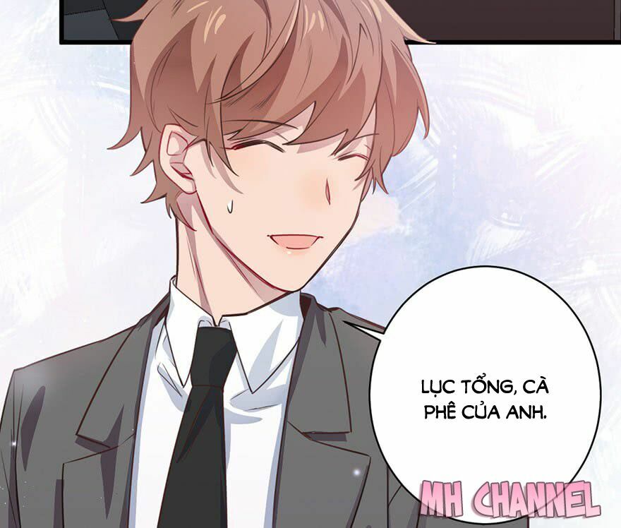 Lang Quân, Xin Đừng...!: Chapter 15: Trợ lý đặc biệt cho Lục tổng