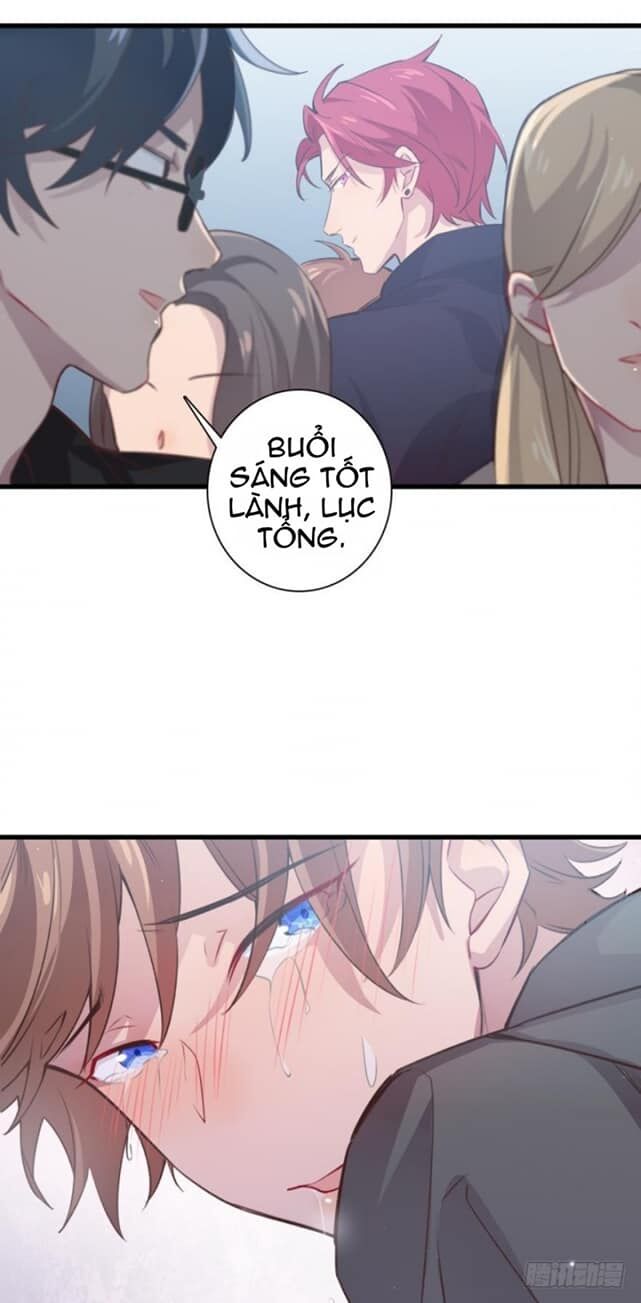 Lang Quân, Xin Đừng...!: Chapter 2