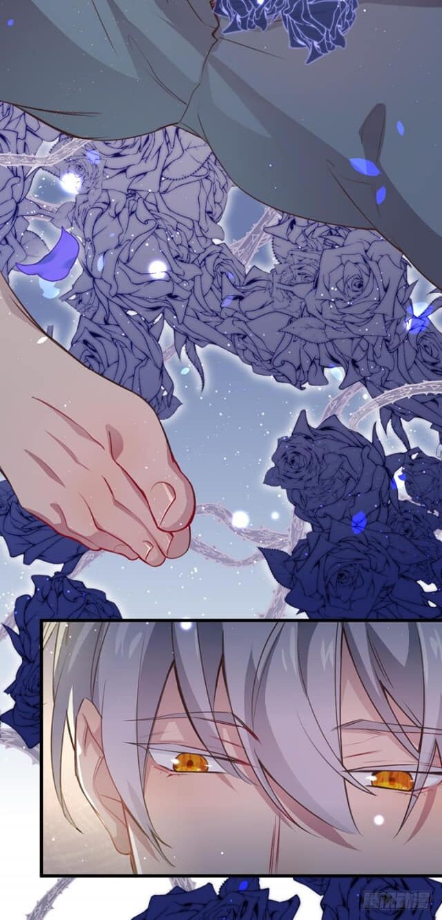 Lang Quân, Xin Đừng...!: Chapter 2