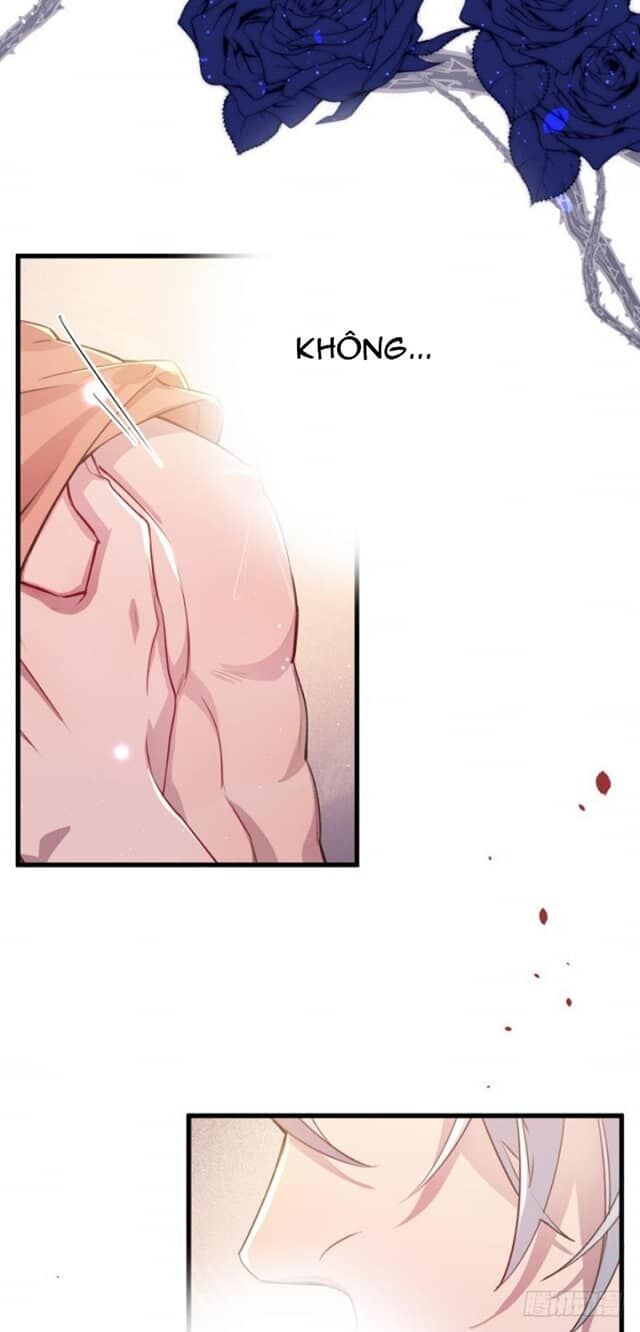 Lang Quân, Xin Đừng...!: Chapter 2
