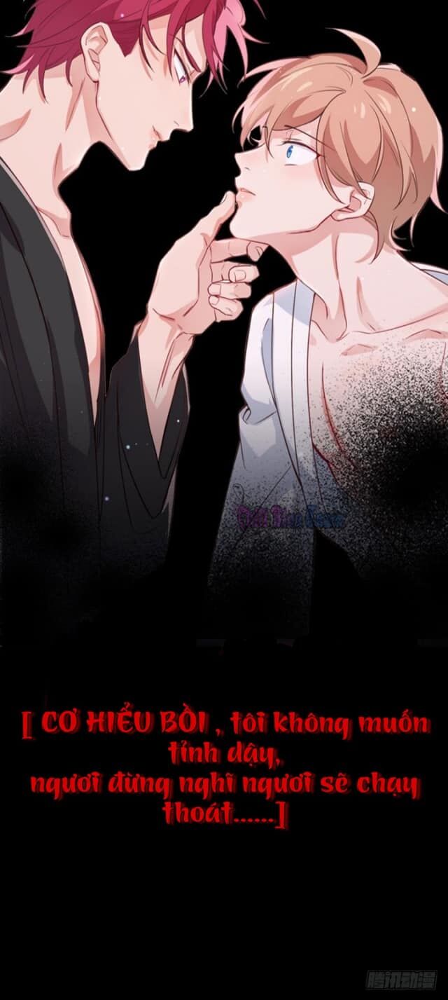 Lang Quân, Xin Đừng...!: Chapter 2