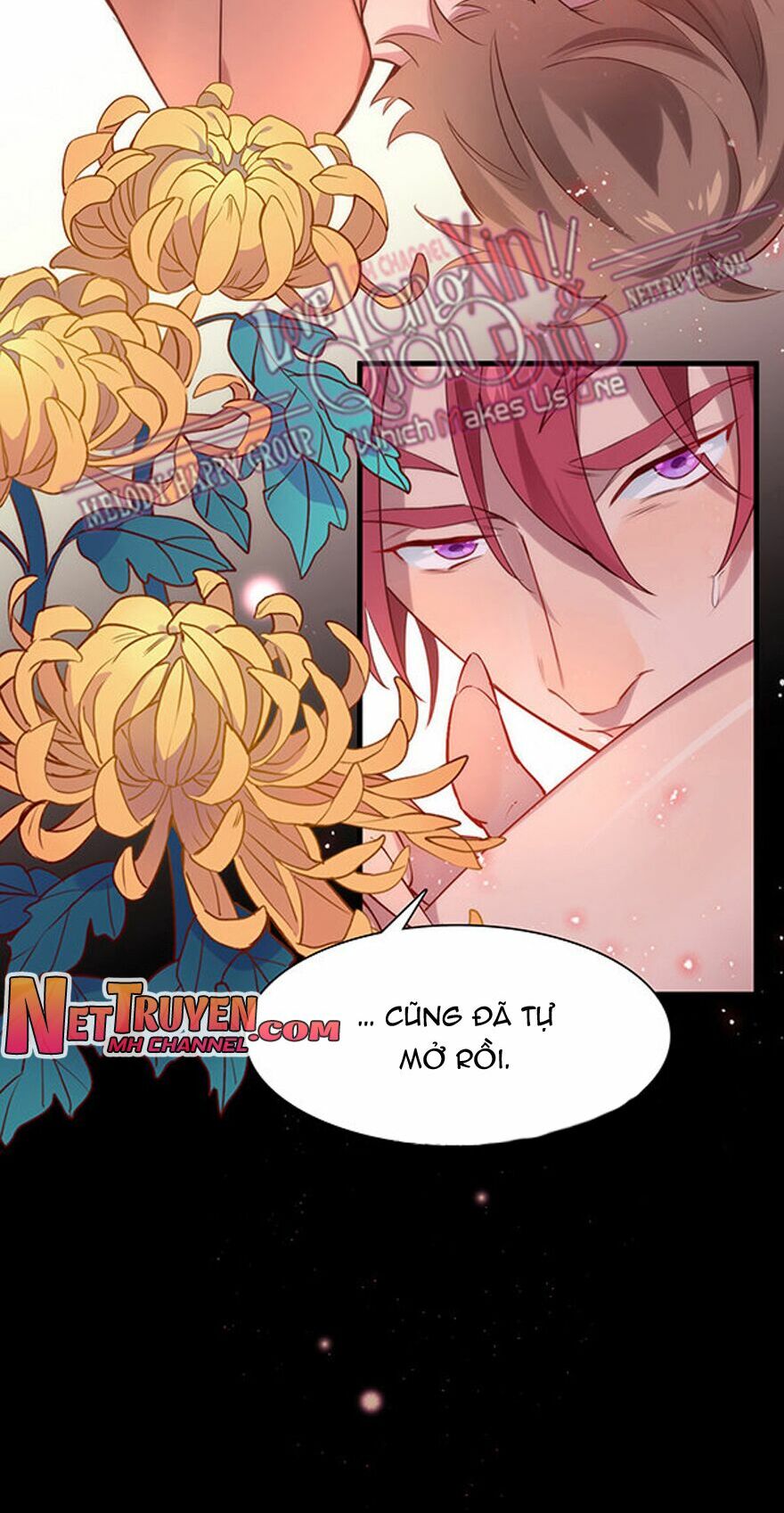 Lang Quân, Xin Đừng...!: Chapter 22: Cậu là tên dối lòng!