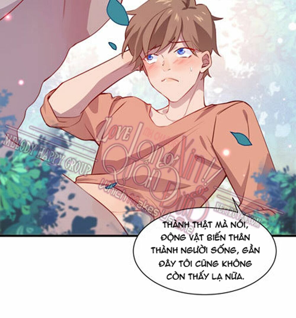 Lang Quân, Xin Đừng...!: Chapter 26