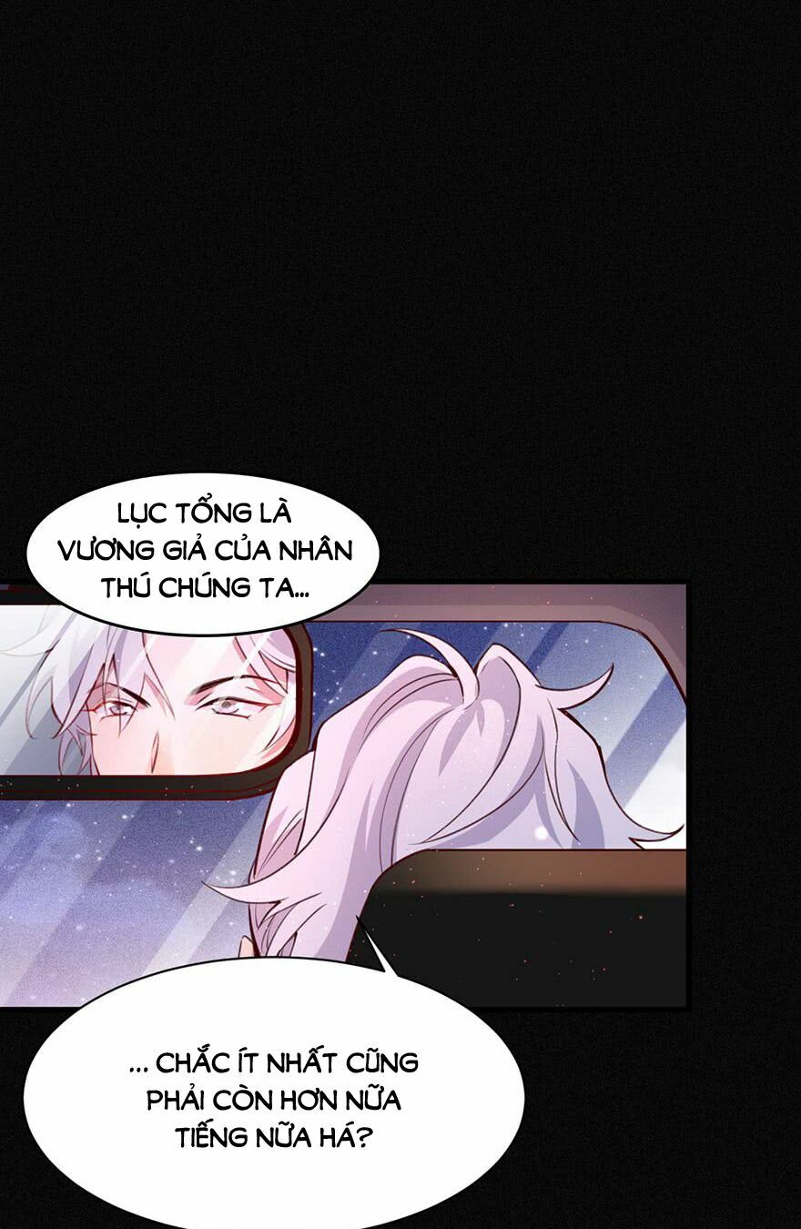 Lang Quân, Xin Đừng...!: Chapter 33: Cái gì trên nóc xe~