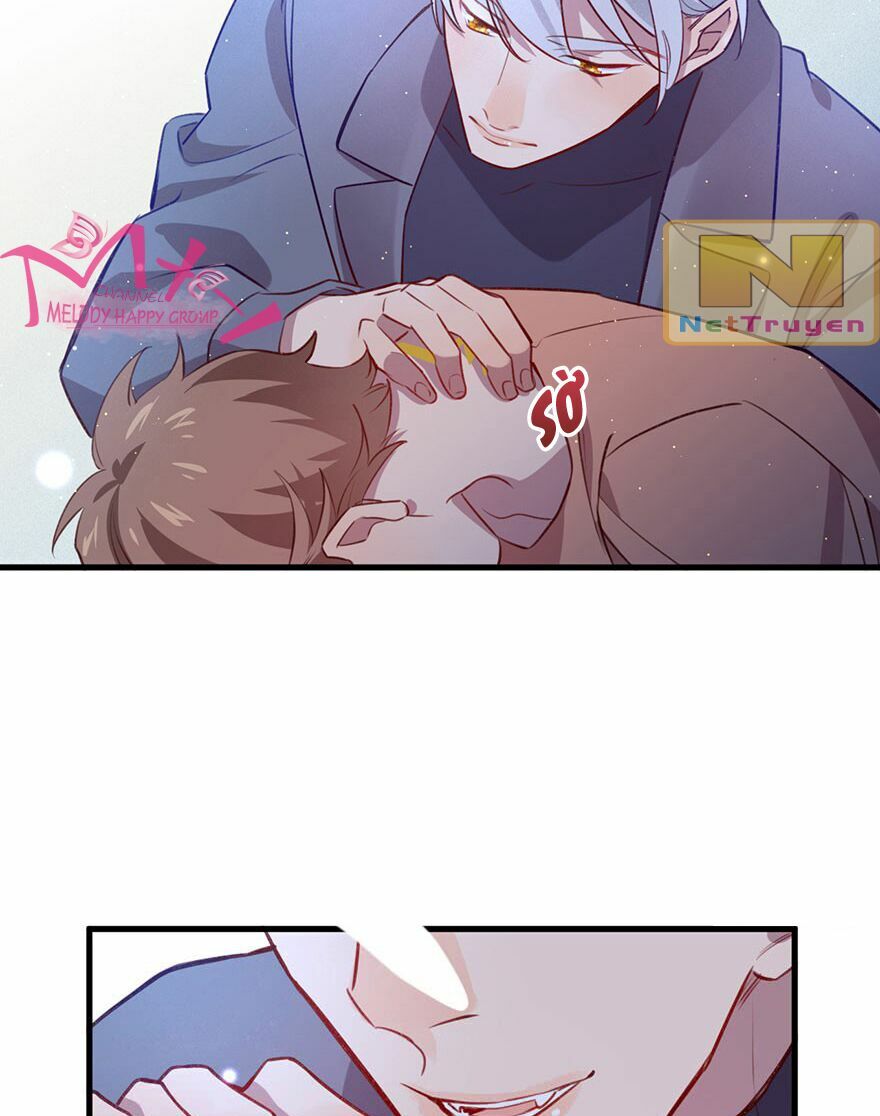 Lang Quân, Xin Đừng...!: Chapter 37