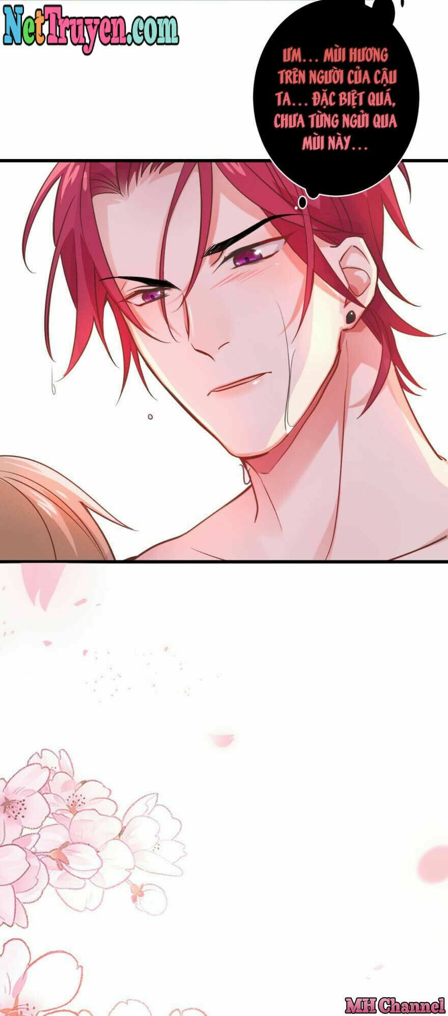 Lang Quân, Xin Đừng...!: Chapter 4