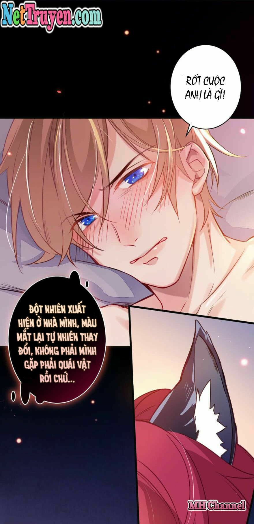 Lang Quân, Xin Đừng...!: Chapter 4