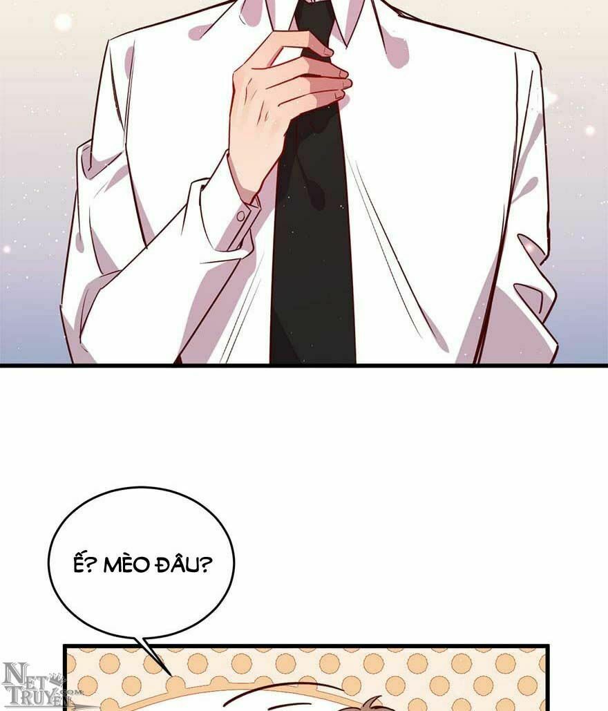 Lang Quân, Xin Đừng...!: Chapter 46