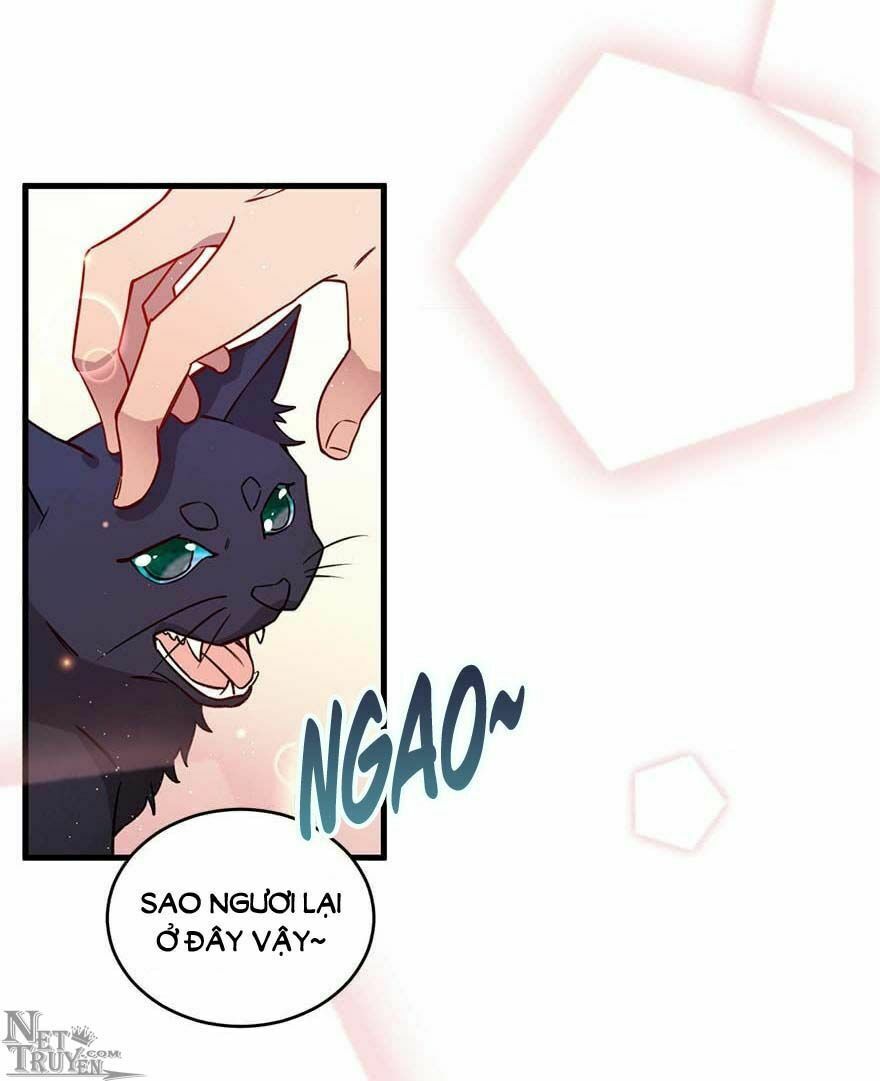 Lang Quân, Xin Đừng...!: Chapter 46
