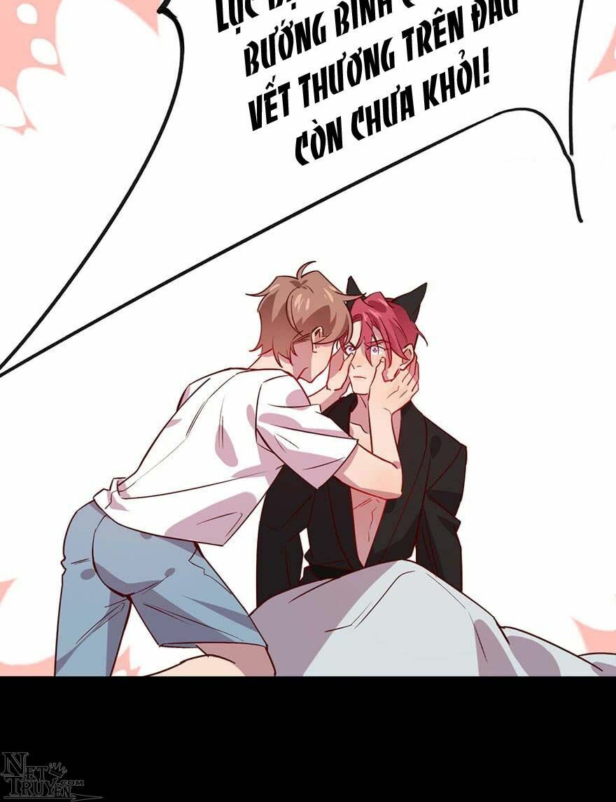 Lang Quân, Xin Đừng...!: Chapter 48