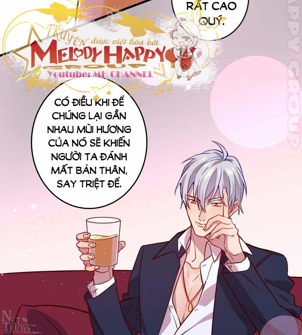 Lang Quân, Xin Đừng...!: Chapter 52