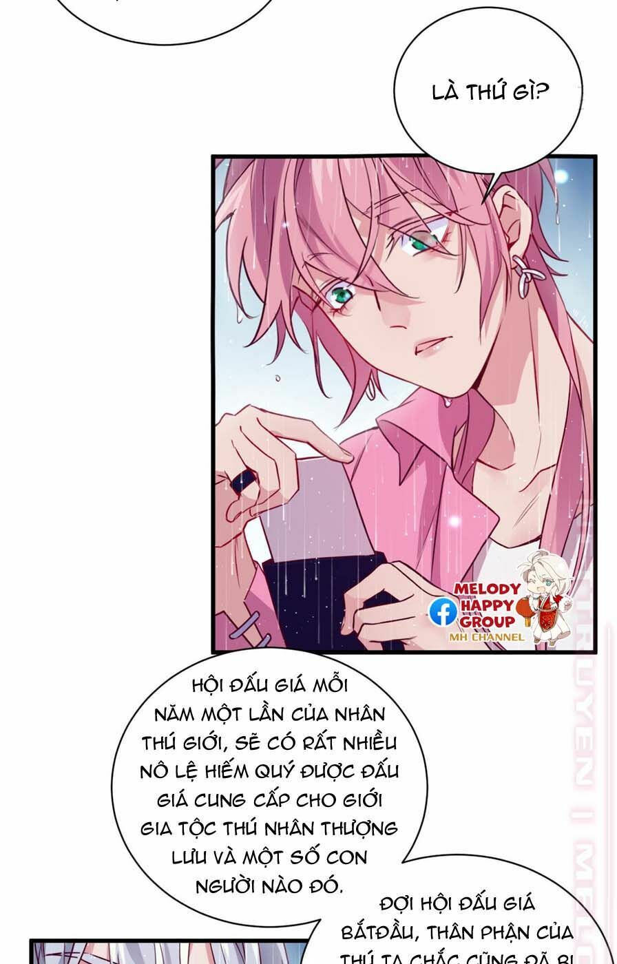 Lang Quân, Xin Đừng...!: Chapter 58