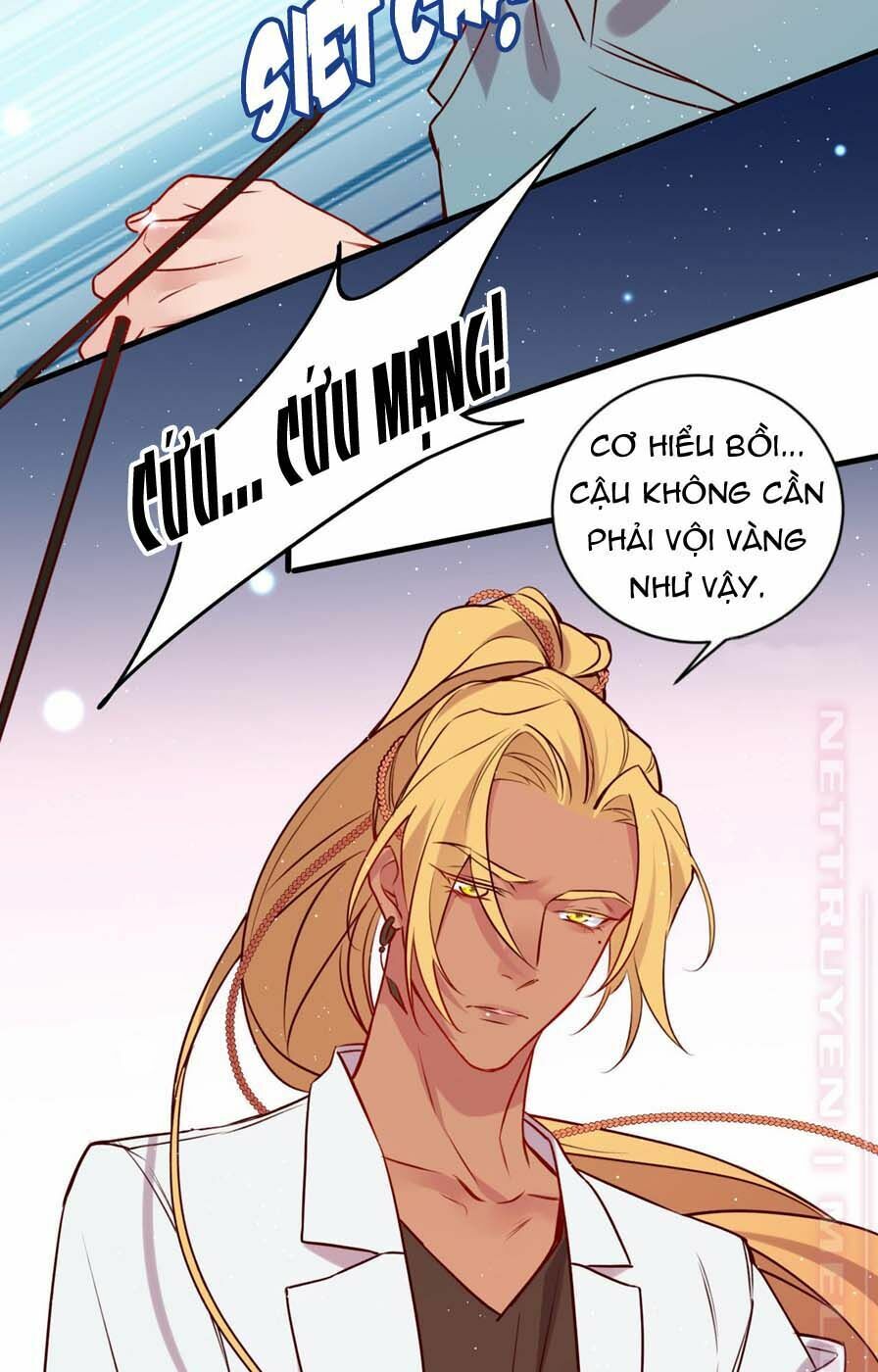 Lang Quân, Xin Đừng...!: Chapter 58