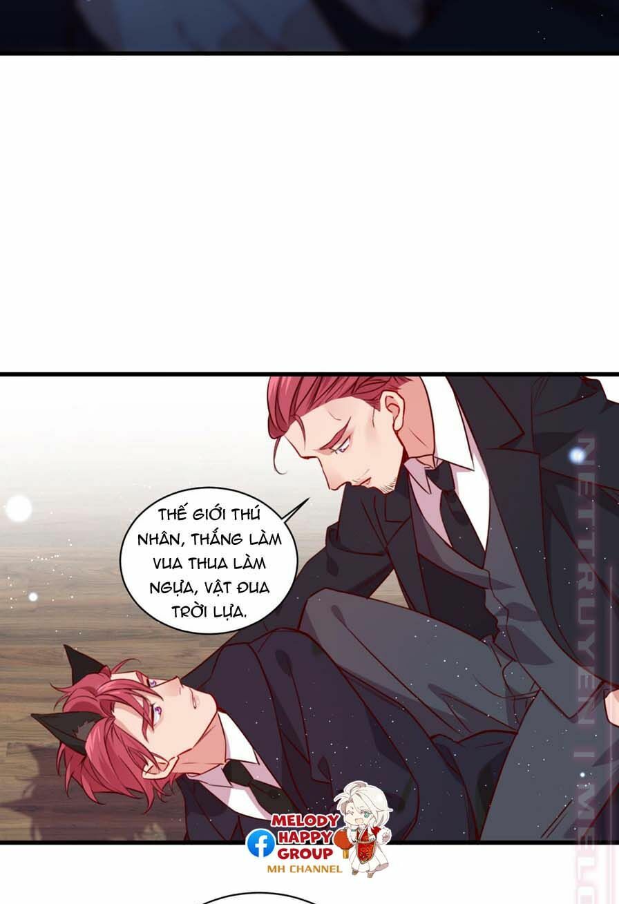 Lang Quân, Xin Đừng...!: Chapter 59