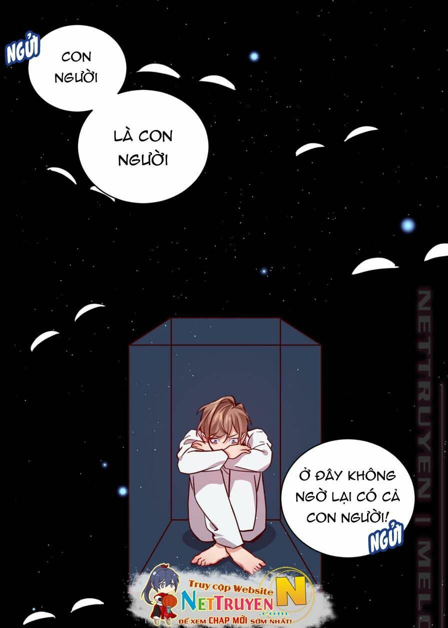 Lang Quân, Xin Đừng...!: Chapter 60