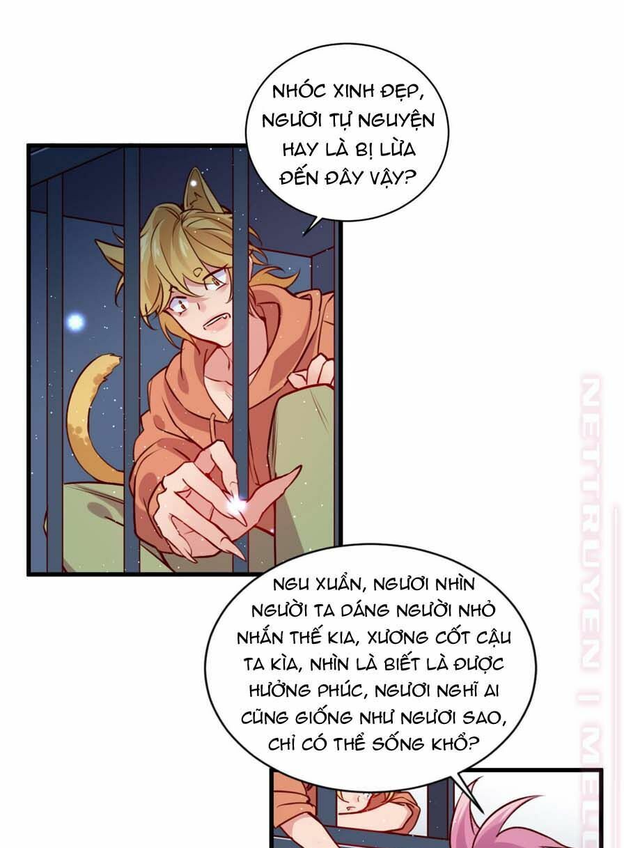 Lang Quân, Xin Đừng...!: Chapter 60