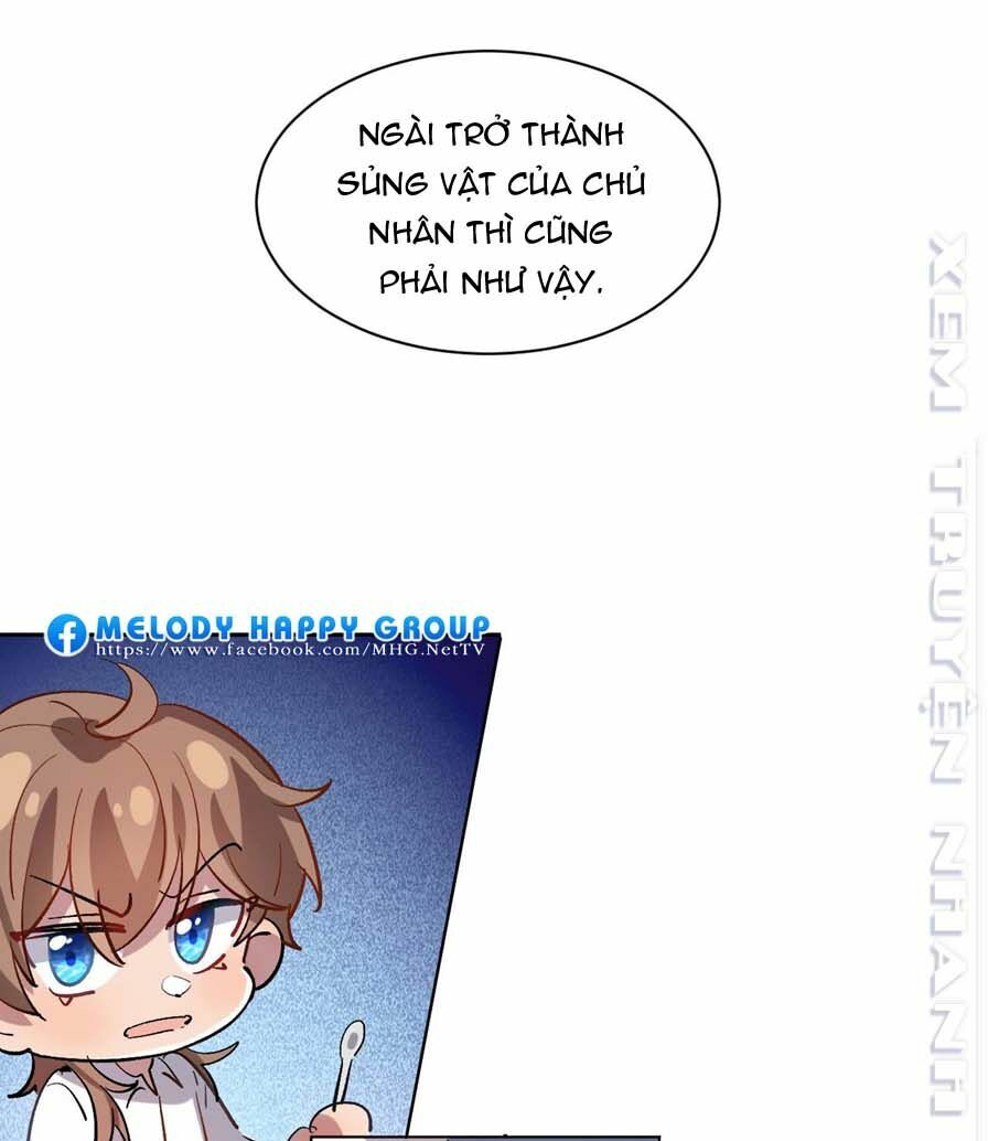 Lang Quân, Xin Đừng...!: Chapter 69