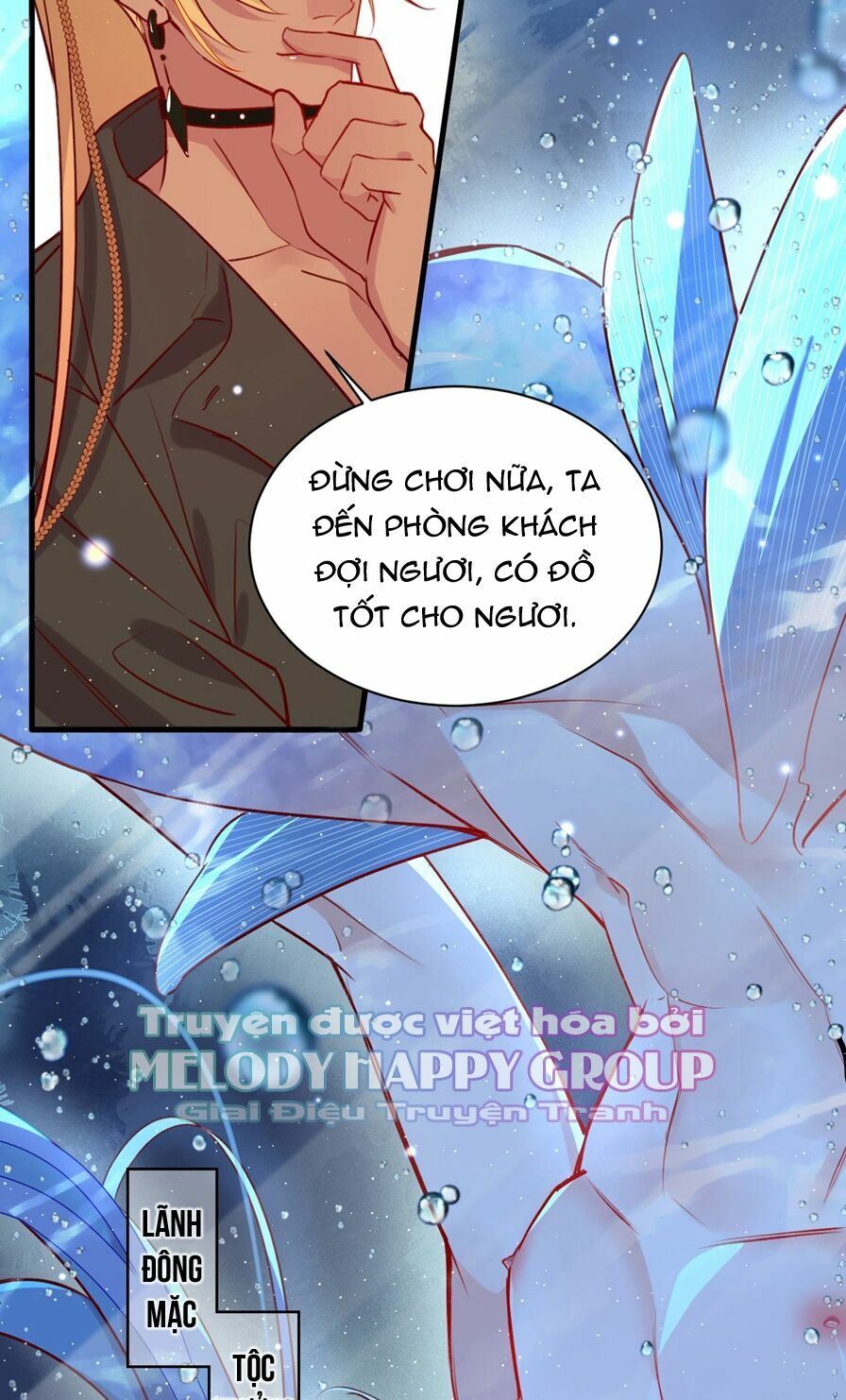Lang Quân, Xin Đừng...!: Chapter 72