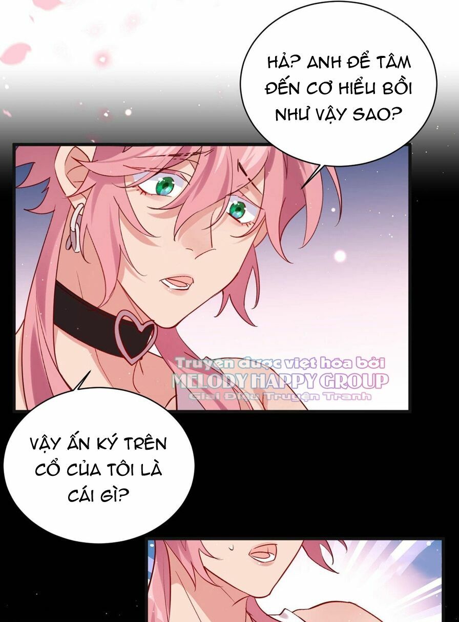 Lang Quân, Xin Đừng...!: Chapter 73