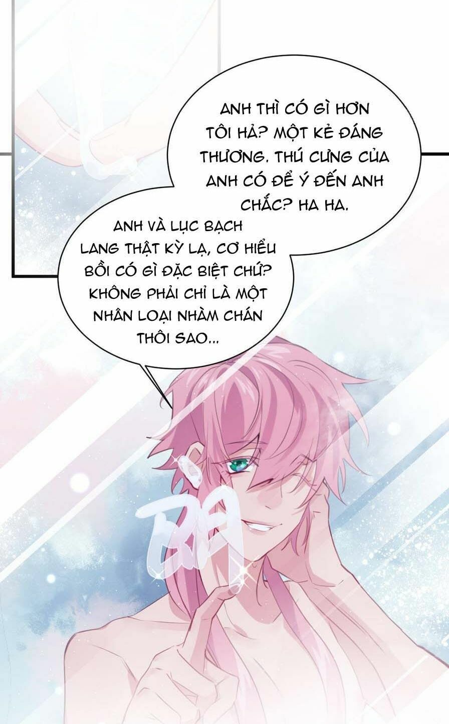 Lang Quân, Xin Đừng...!: Chapter 74: MHG Channel