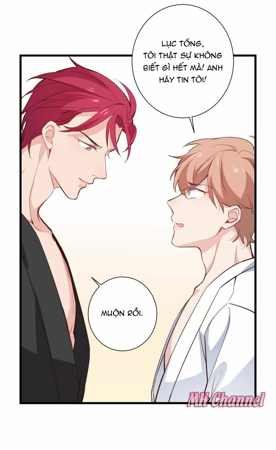 Lang Quân, Xin Đừng...!: Chapter 8