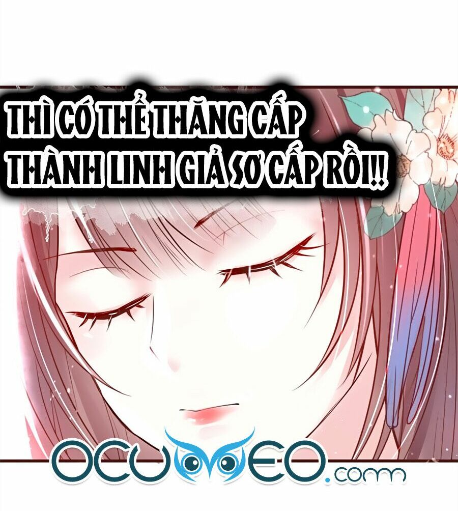 Liệt Hỏa Cuồng Phi: Vương Gia Thú Tính Muốn Sủng: Chapter 11