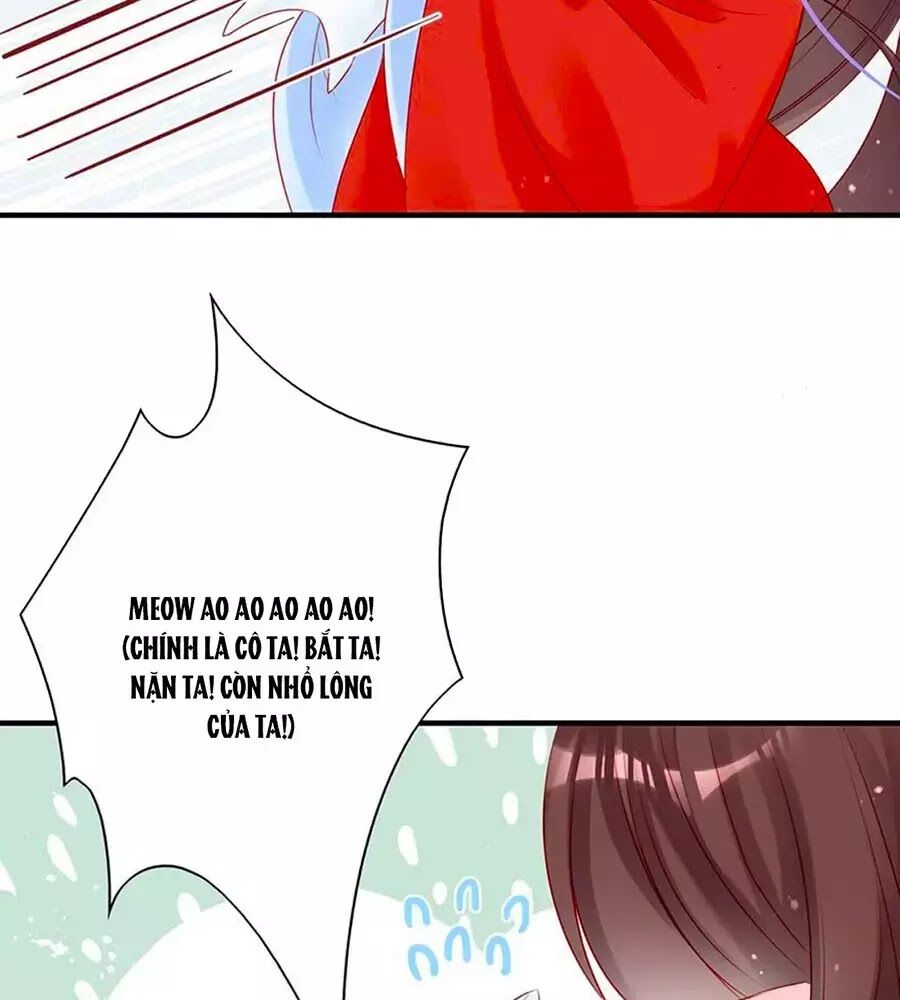 Liệt Hỏa Cuồng Phi: Vương Gia Thú Tính Muốn Sủng: Chapter 52