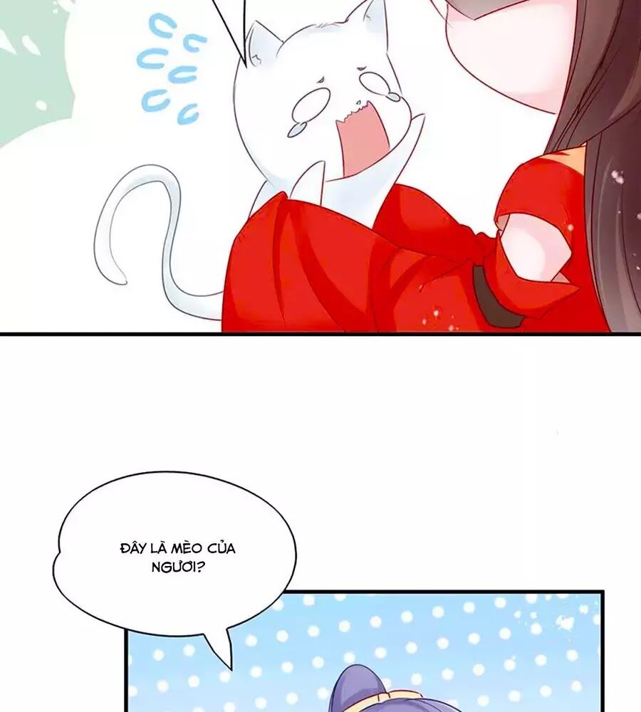 Liệt Hỏa Cuồng Phi: Vương Gia Thú Tính Muốn Sủng: Chapter 52