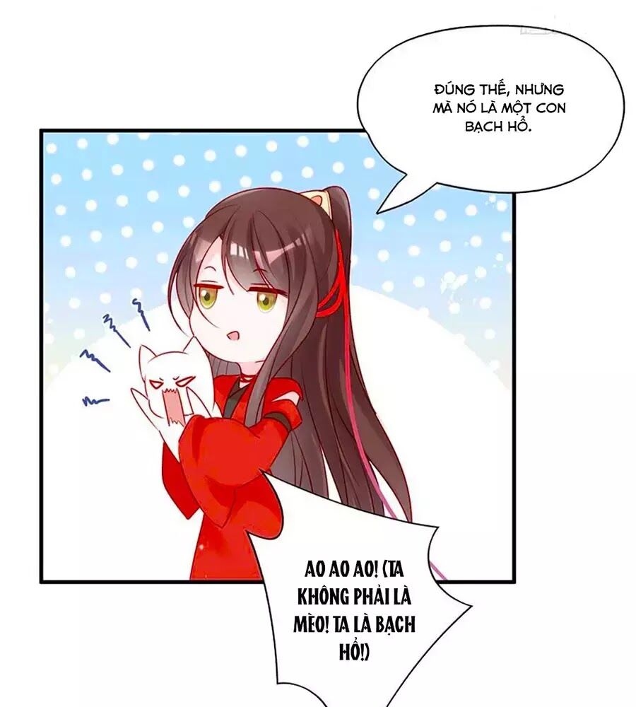 Liệt Hỏa Cuồng Phi: Vương Gia Thú Tính Muốn Sủng: Chapter 52