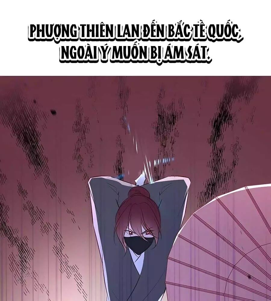 Liệt Hỏa Cuồng Phi: Vương Gia Thú Tính Muốn Sủng: Chapter 80.1