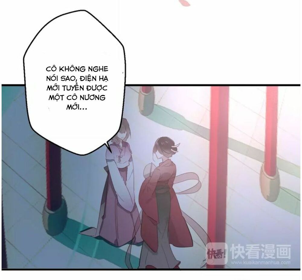 Ngô hoàng tại thượng: Chapter 1