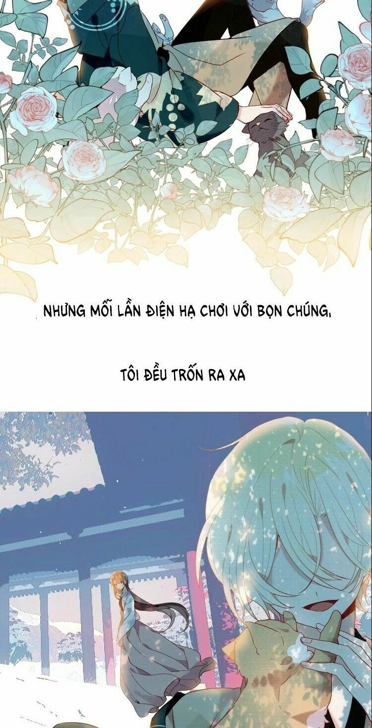 Ngô hoàng tại thượng: Chapter 101