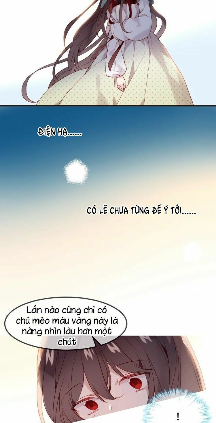 Ngô hoàng tại thượng: Chapter 101