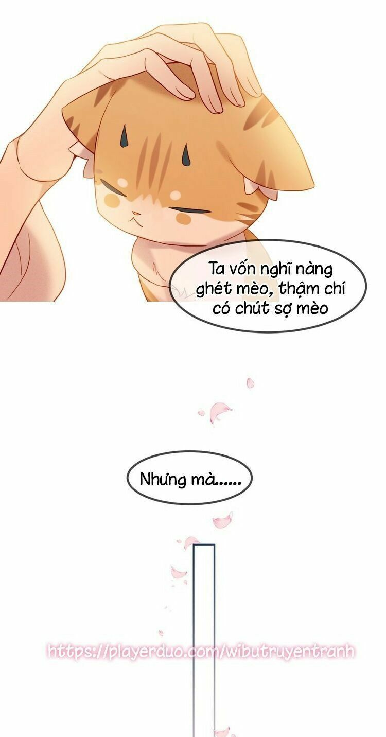 Ngô hoàng tại thượng: Chapter 101