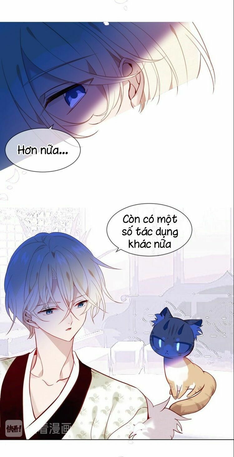 Ngô hoàng tại thượng: Chapter 102