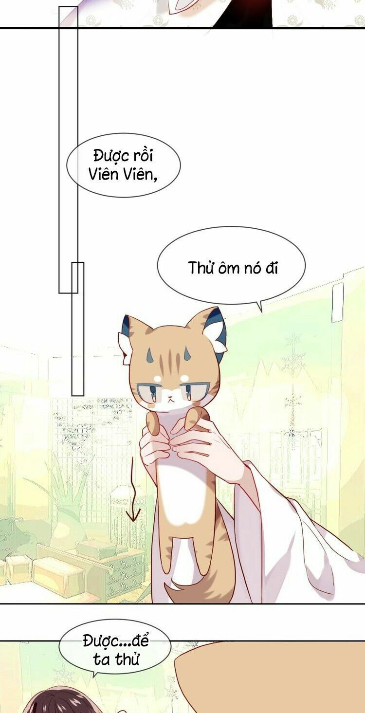 Ngô hoàng tại thượng: Chapter 102