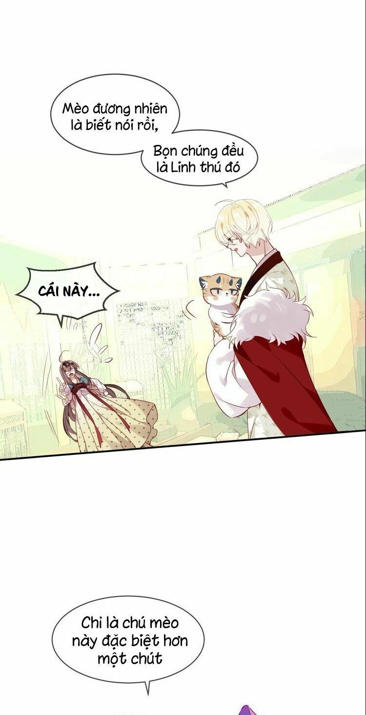 Ngô hoàng tại thượng: Chapter 102