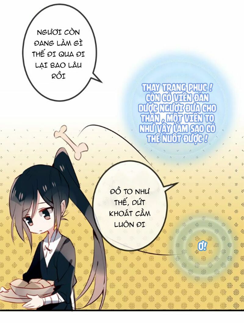 Ngô hoàng tại thượng: Chapter 11