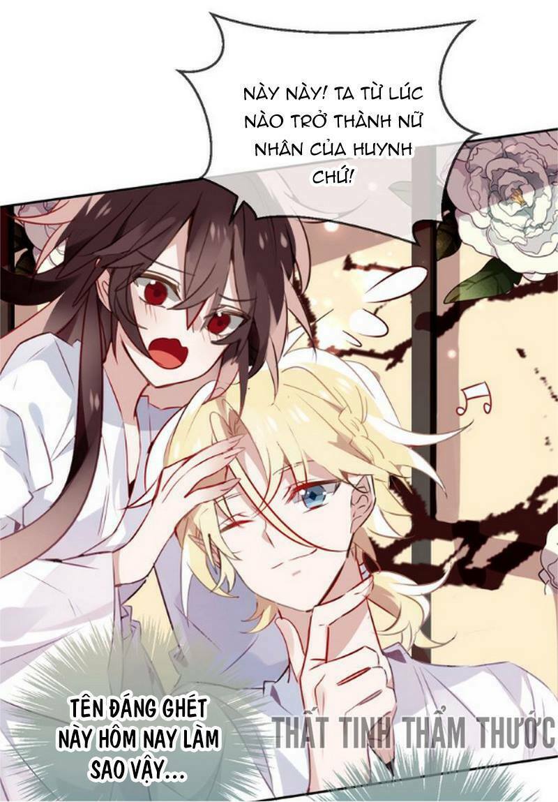 Ngô hoàng tại thượng: Chapter 19