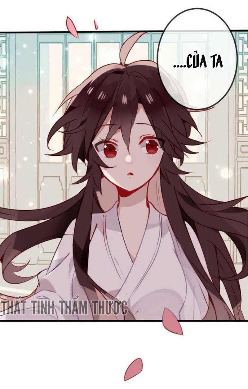 Ngô hoàng tại thượng: Chapter 19