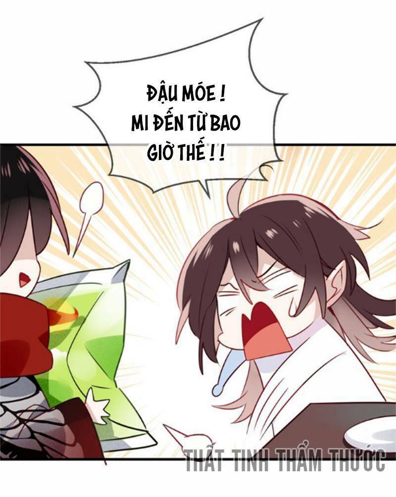 Ngô hoàng tại thượng: Chapter 26