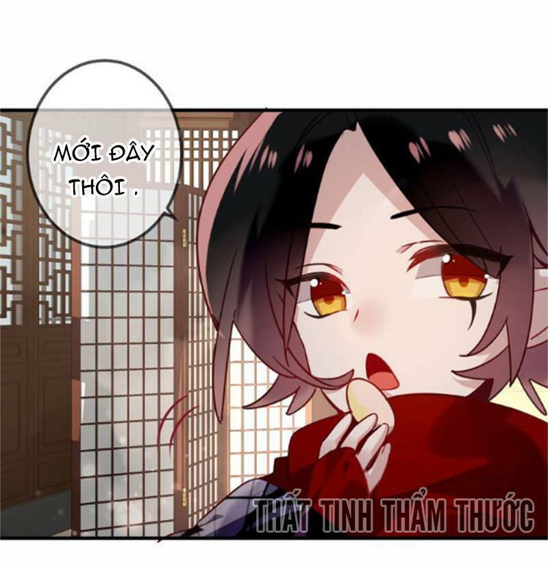 Ngô hoàng tại thượng: Chapter 26