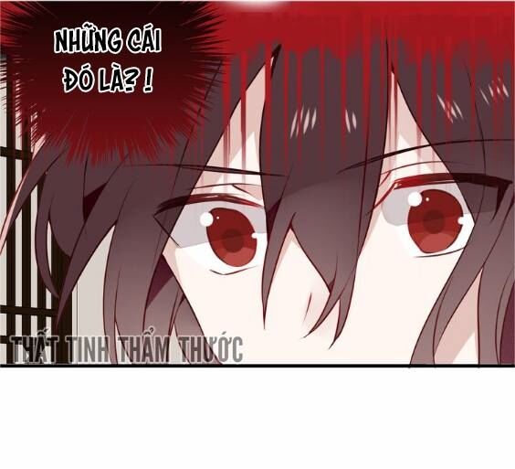 Ngô hoàng tại thượng: Chapter 28