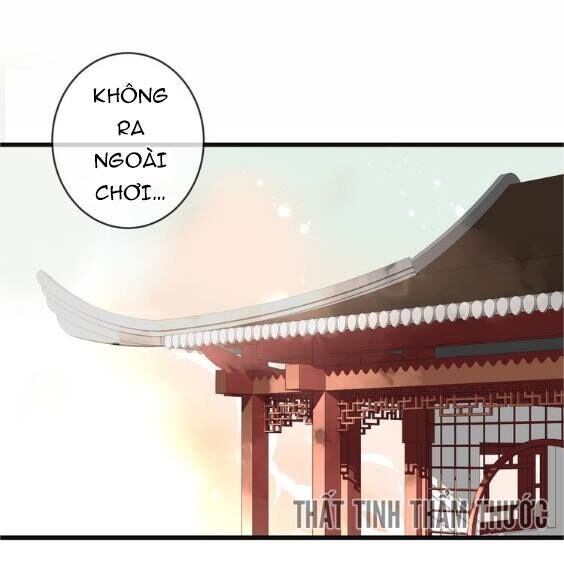 Ngô hoàng tại thượng: Chapter 28
