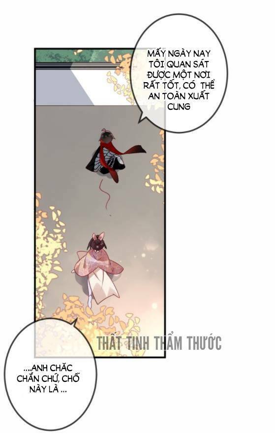 Ngô hoàng tại thượng: Chapter 29