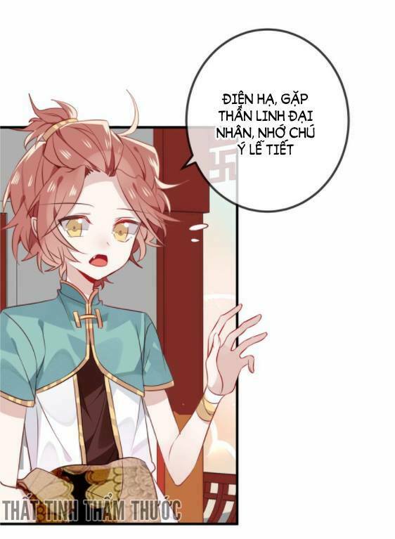 Ngô hoàng tại thượng: Chapter 29