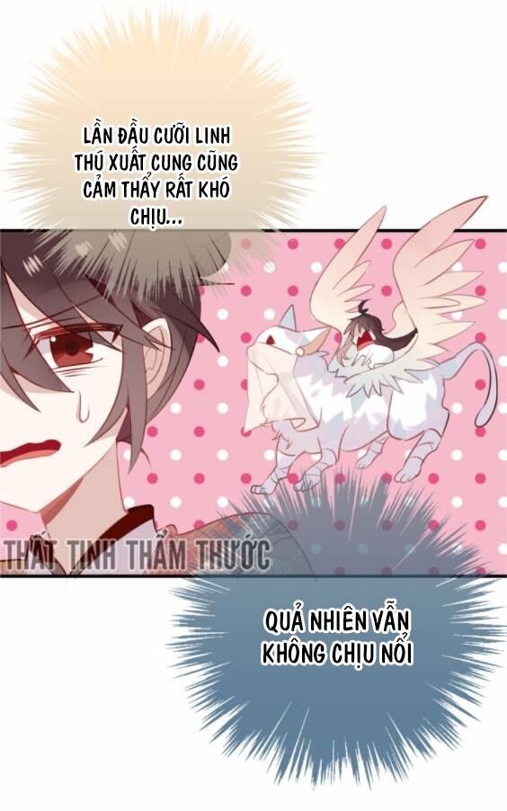 Ngô hoàng tại thượng: Chapter 30