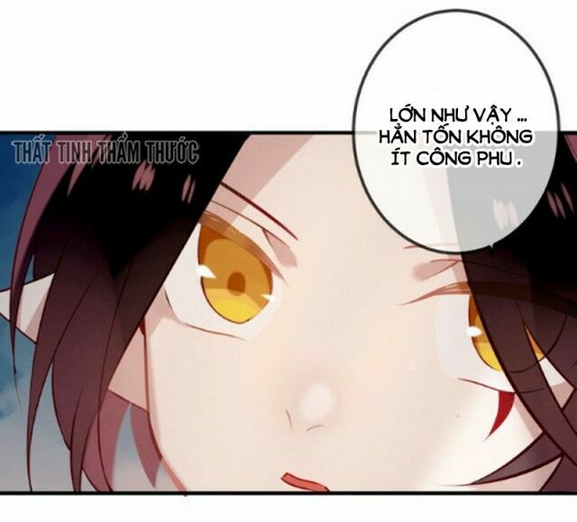Ngô hoàng tại thượng: Chapter 37