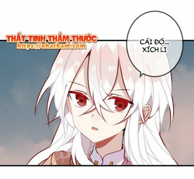 Ngô hoàng tại thượng: Chapter 41