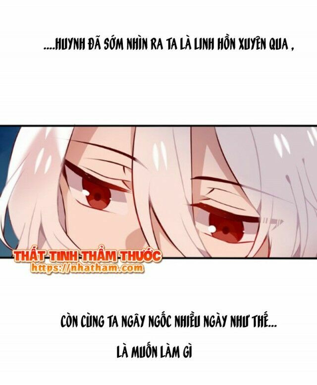 Ngô hoàng tại thượng: Chapter 41